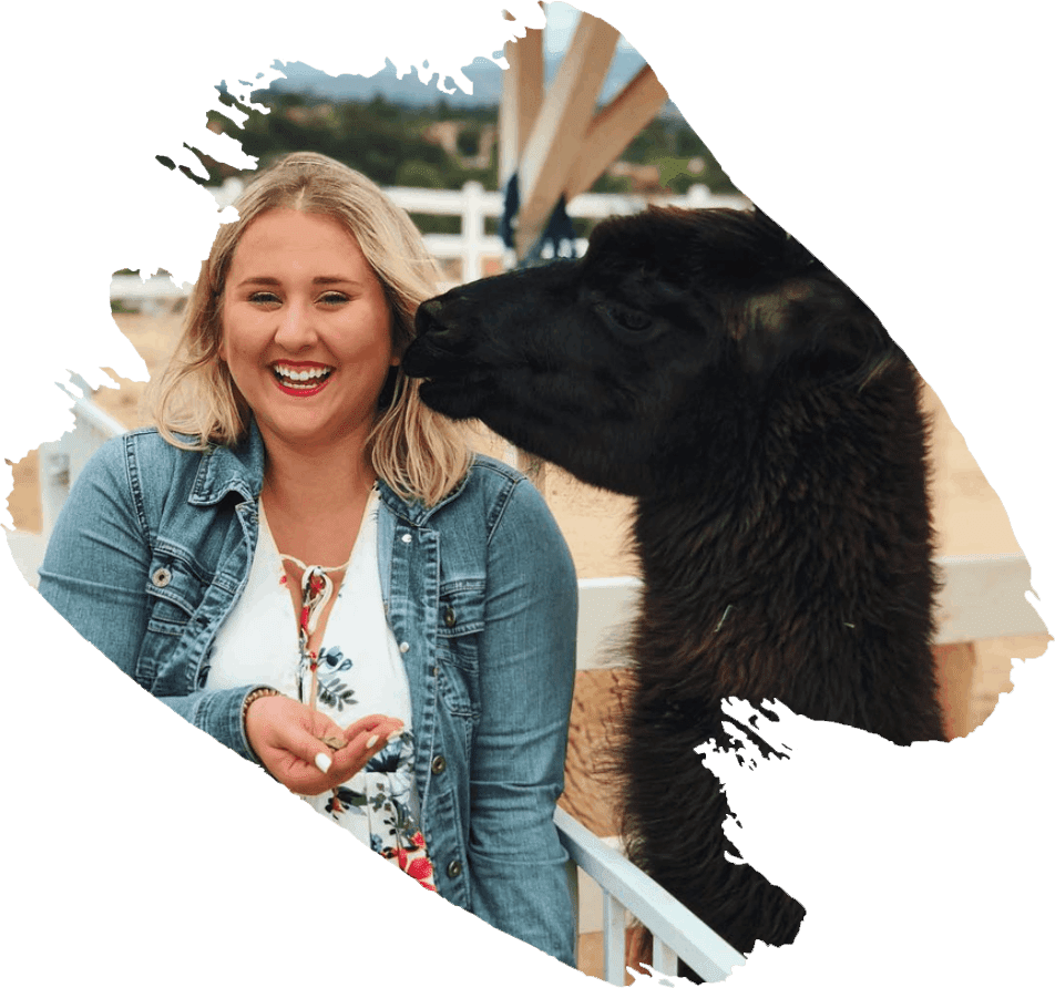 Happy smiling woman with alpaca food on hand with black alpaca at ranch