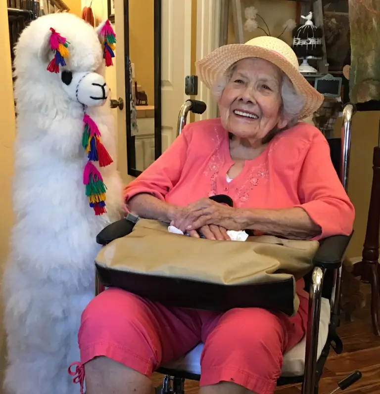Elder person with alpaca toy
