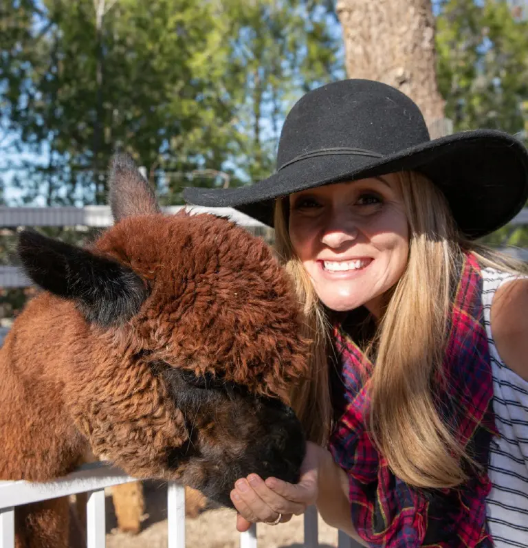 Young woman posing to photo and feeding alpaca